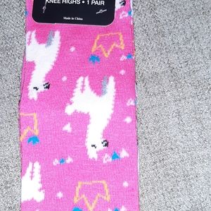 BEVERLY HILLS WOMEN'S KNEE HIGH.SHOES SZ 5-9